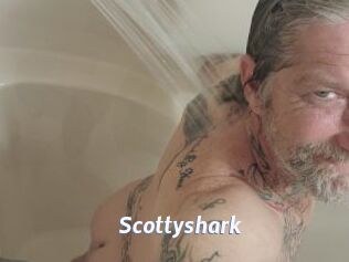 Scottyshark