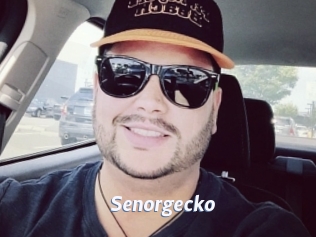 Senorgecko