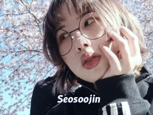 Seosoojin