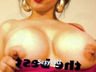 sexycatt Sexe amateur contributions
