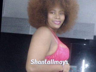 Shantallmays
