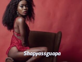 Shapyassguapa
