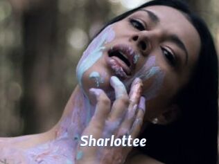 Sharlottee