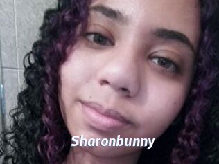 Sharonbunny