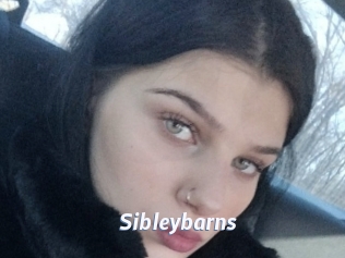 Sibleybarns