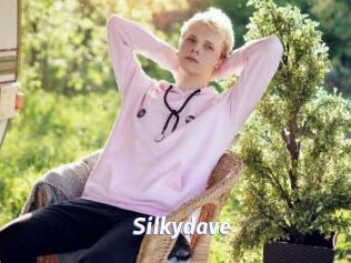 Silkydave