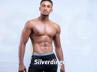 Silverdingo