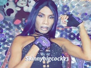 Skinnybigcock23