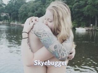 Skyebugger
