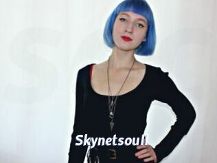 Skynetsoull