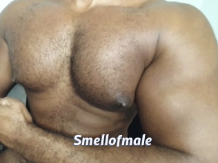 smellofmale Sexe amateur contributions