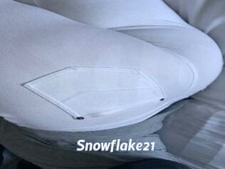 Snowflake21