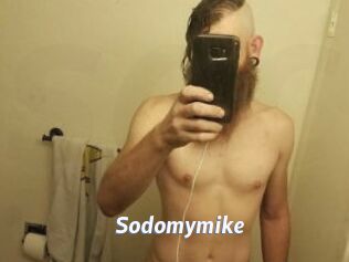 Sodomymike