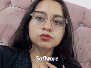Sofiware