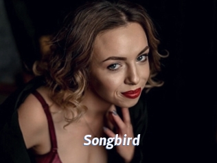 songbird Sexe amateur contributions