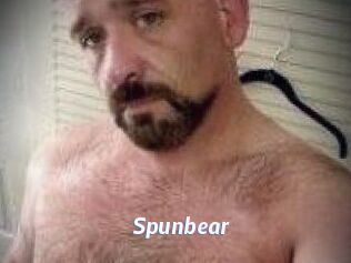 Spunbear