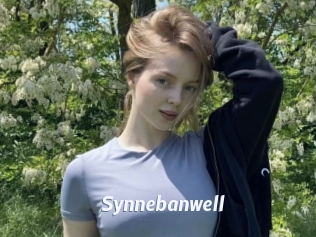 Synnebanwell