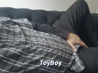 T0yB0y