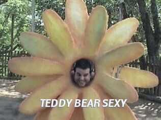 TEDDY_BEAR_SEXY