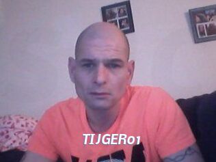 TIJGER01 Sexe amateur contributions
