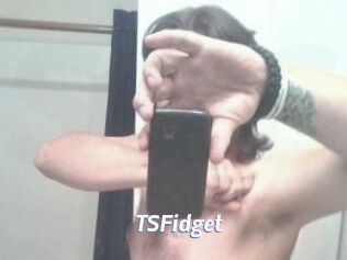 TSFidget