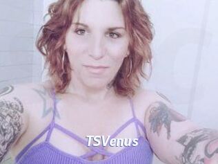 TS_Venus