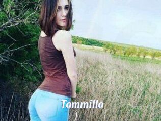 Tammilla_