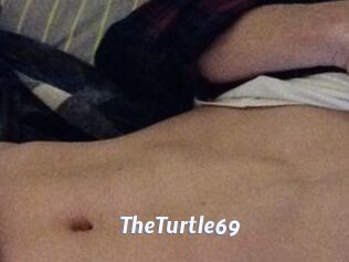 TheTurtle69