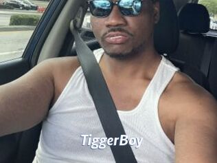 TiggerBoy