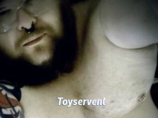 Toyservent