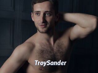 TroySander