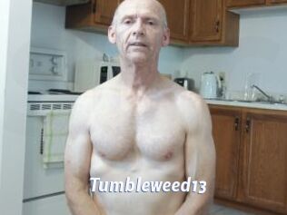 Tumbleweed13