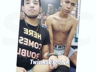 Twinksbigdick