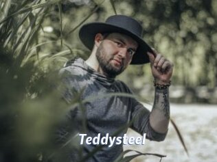 Teddysteel