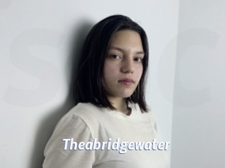 Theabridgewater
