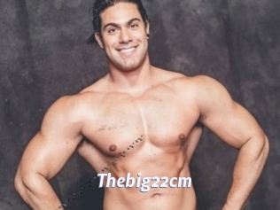 Thebig22cm