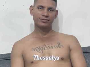 Thesantyx