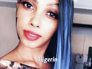 Tijgerin