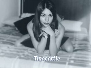 Tinacattie