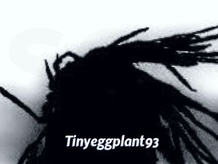 Tinyeggplant93