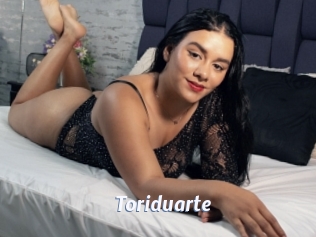 Toriduarte