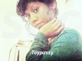 Toypussy