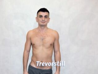Trevorstill