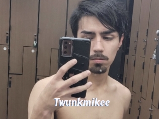 Twunkmikee