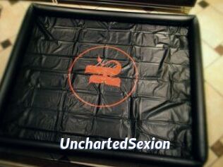 UnchartedSexion