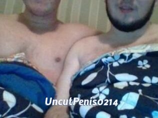 UncutPenis0214