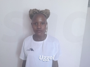 Uggal
