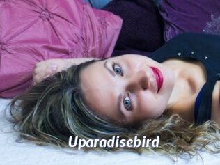 Uparadisebird