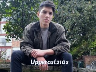 Uppercut210x