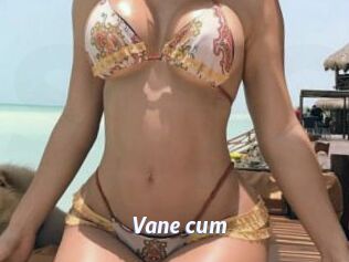 Vane_cum
